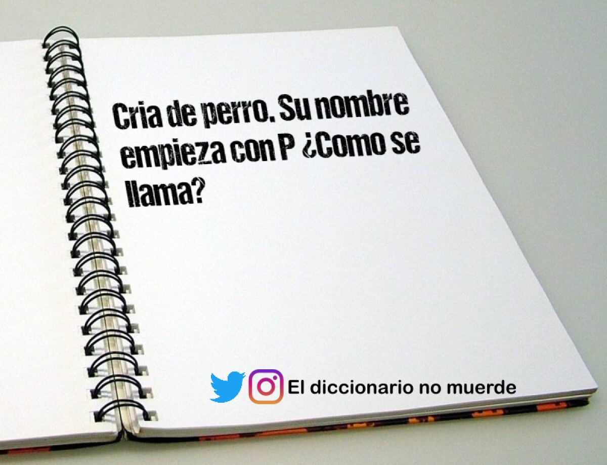 Similitudes y diferencias entre el socialismo y el anarquismo
