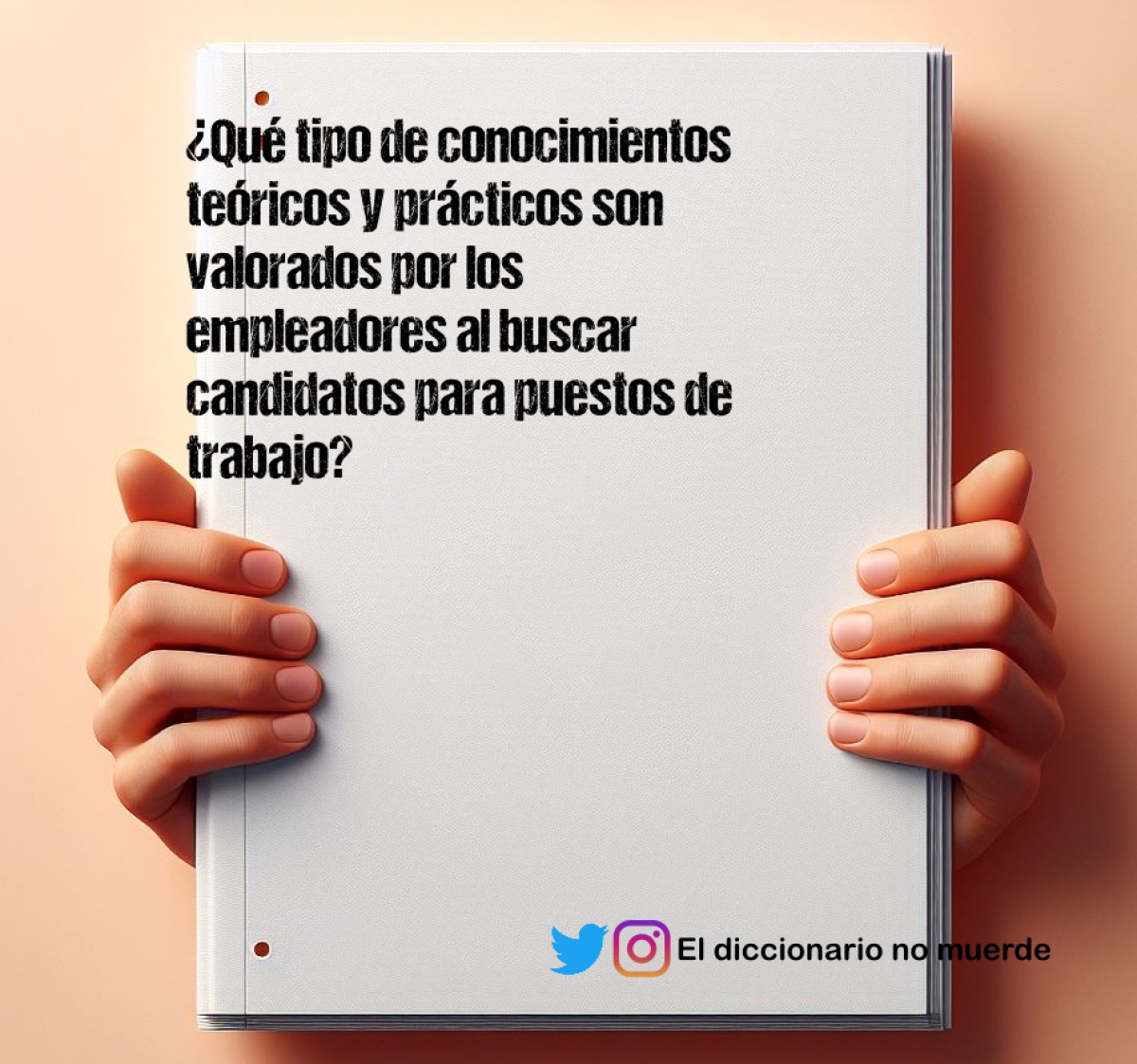¿Qué tipo de conocimientos teóricos y prácticos son valorados por los empleadores al buscar candidatos para puestos de trabajo?
