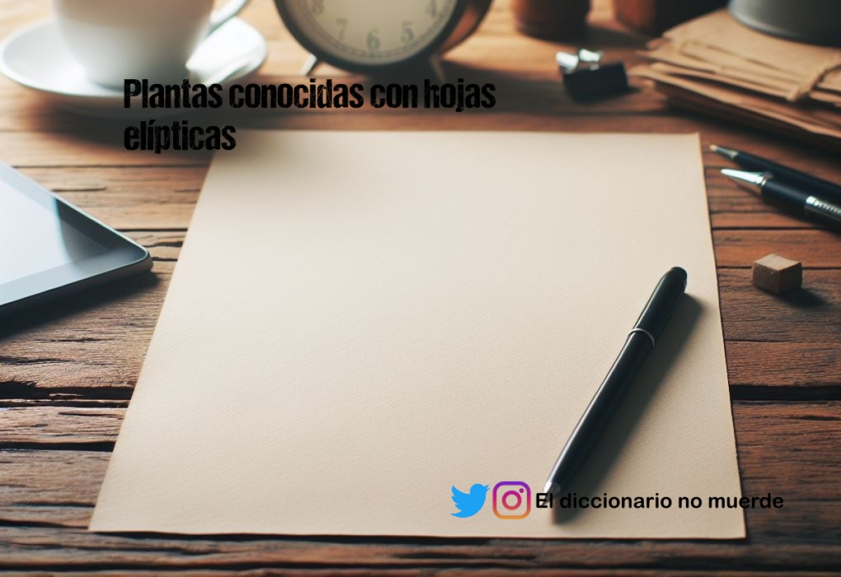 Plantas conocidas con hojas elípticas