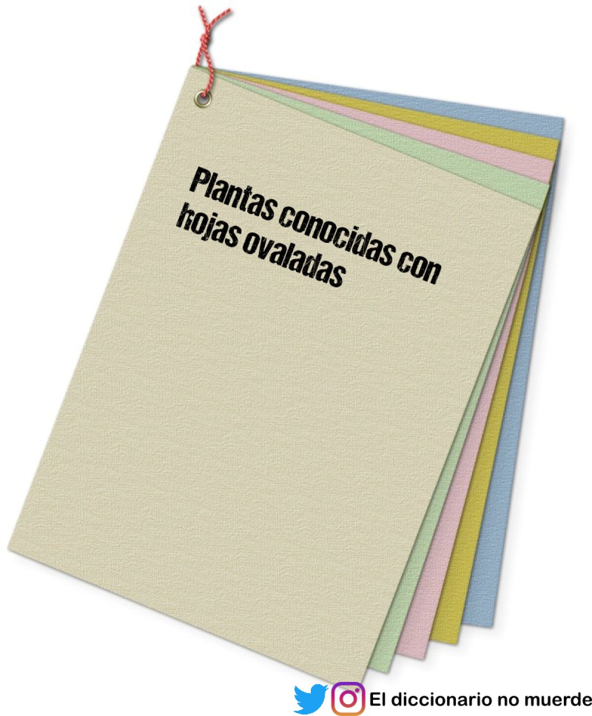 Plantas conocidas con hojas ovaladas