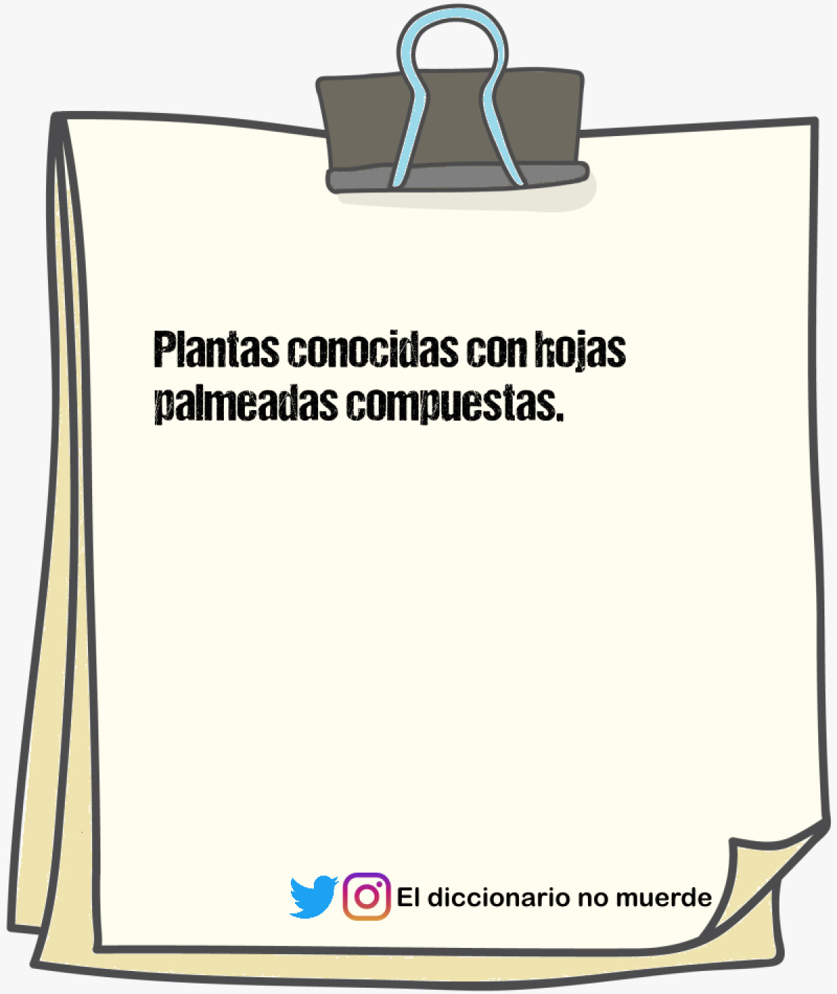 Plantas conocidas con hojas palmeadas compuestas.