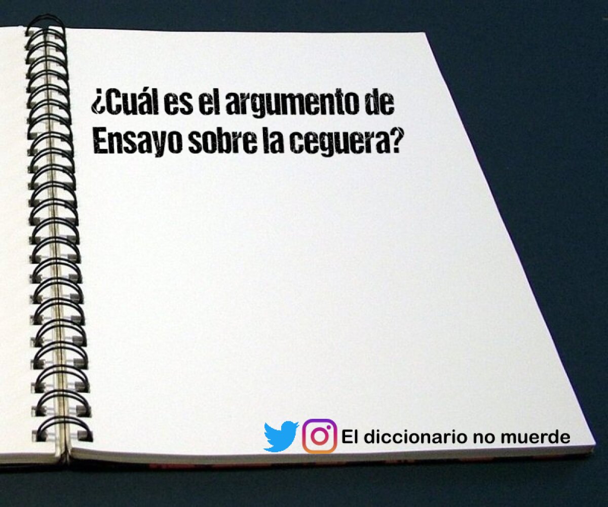 ¿Cuál es el argumento de Ensayo sobre la ceguera?