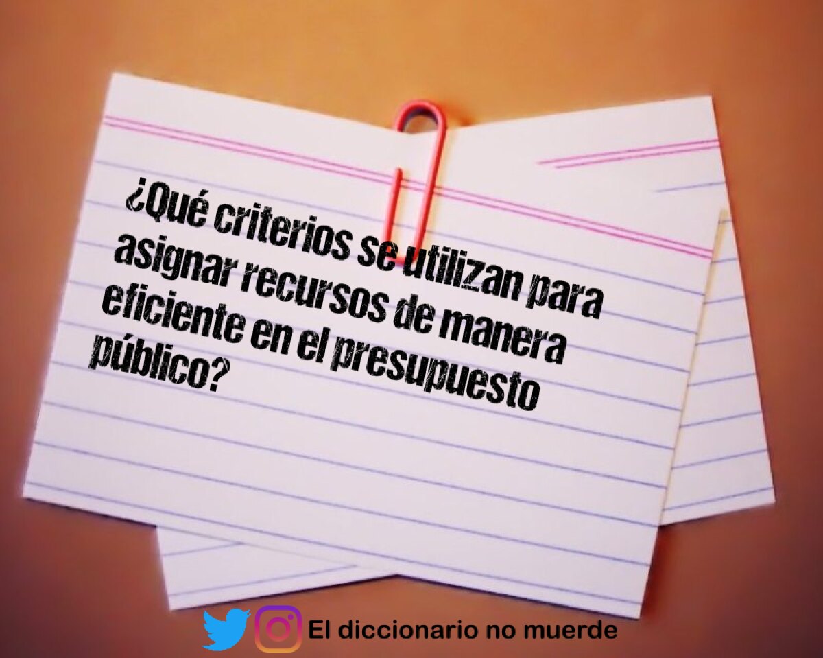 ¿Qué criterios se utilizan para asignar recursos de manera eficiente en el presupuesto público?