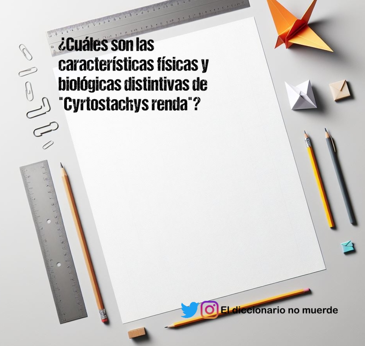 ¿Cuáles son las características físicas y biológicas distintivas de "Cyrtostachys renda"?