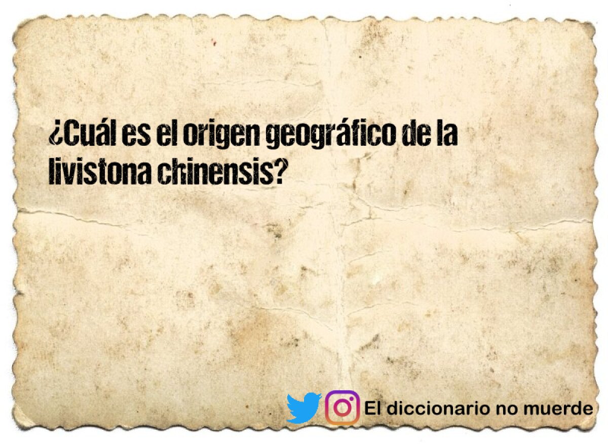 ¿Cuál es el origen geográfico de la livistona chinensis?