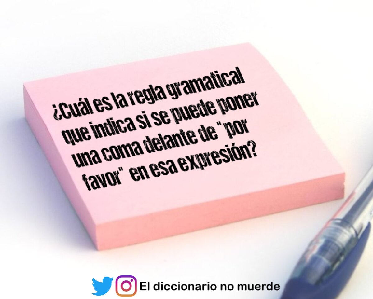 ¿Cuál es la regla gramatical que indica si se puede poner una coma delante de "por favor" en esa expresión?