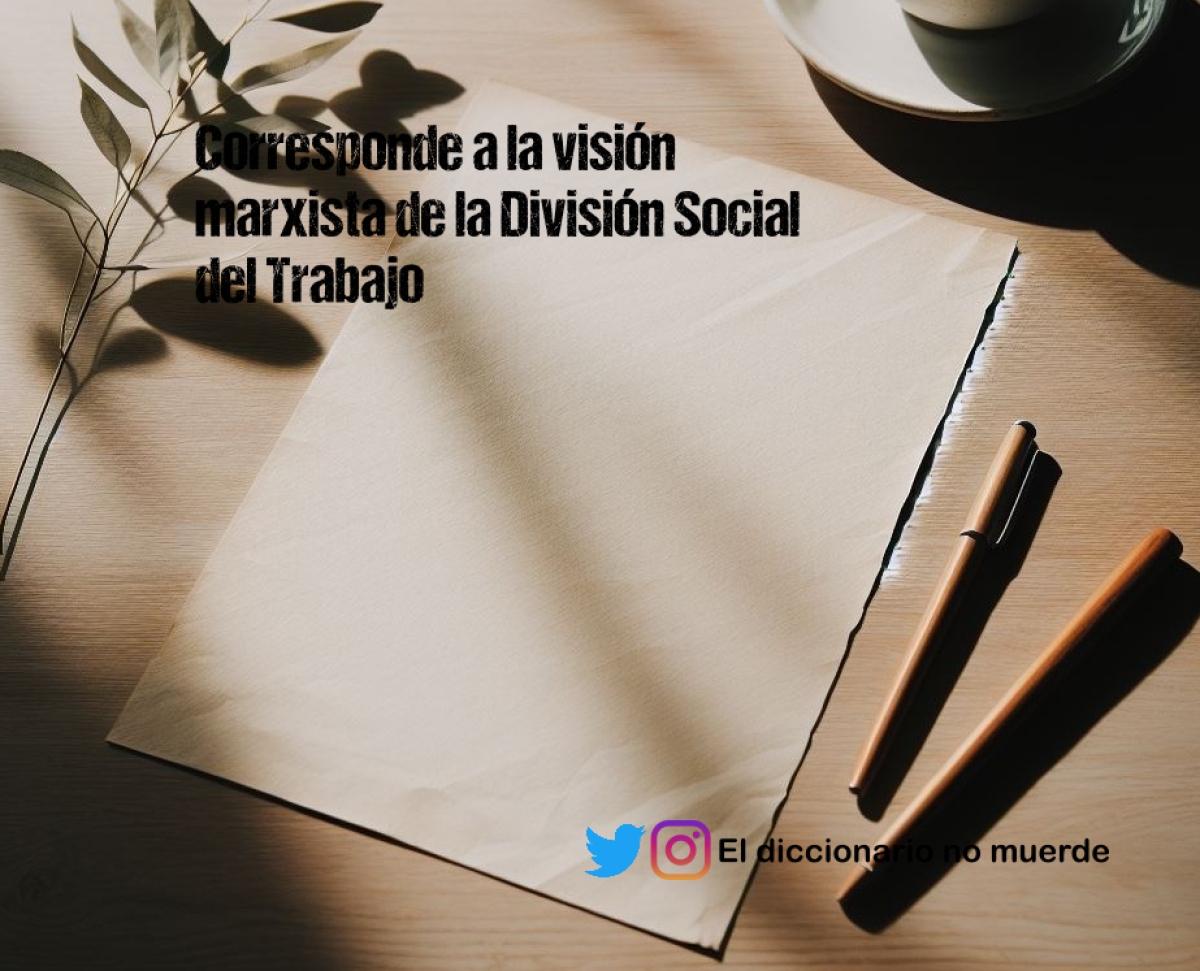 Corresponde a la visión marxista de la División Social del Trabajo 