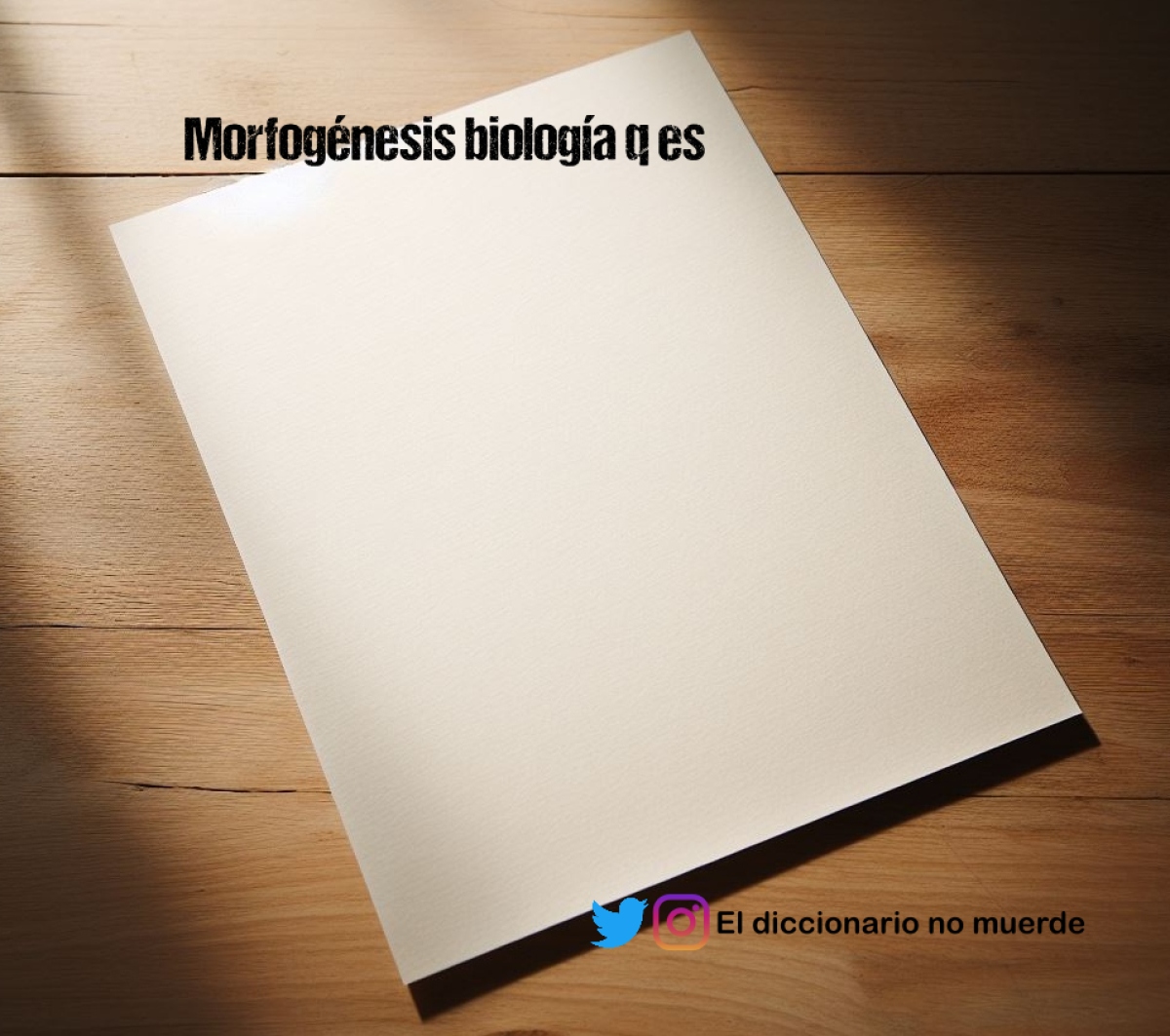 Morfogénesis biología q es