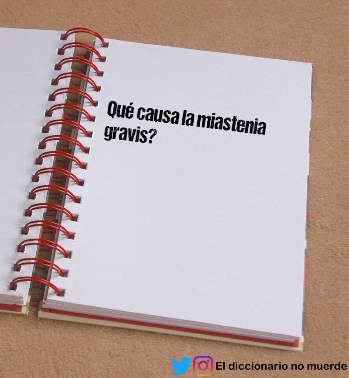 Qué causa la miastenia gravis?