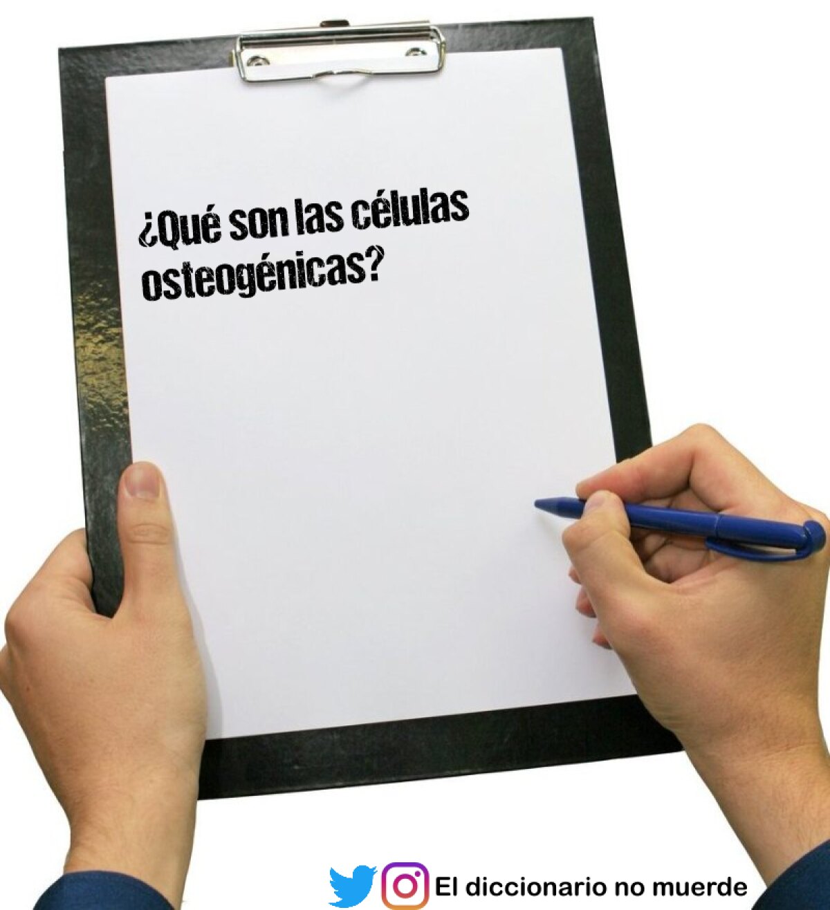 Relación entre Calidad y Variabilidad