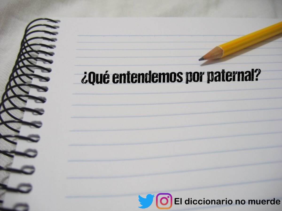 El contador público puede alterar el folio de los libros de Contabilidad.. argumentos