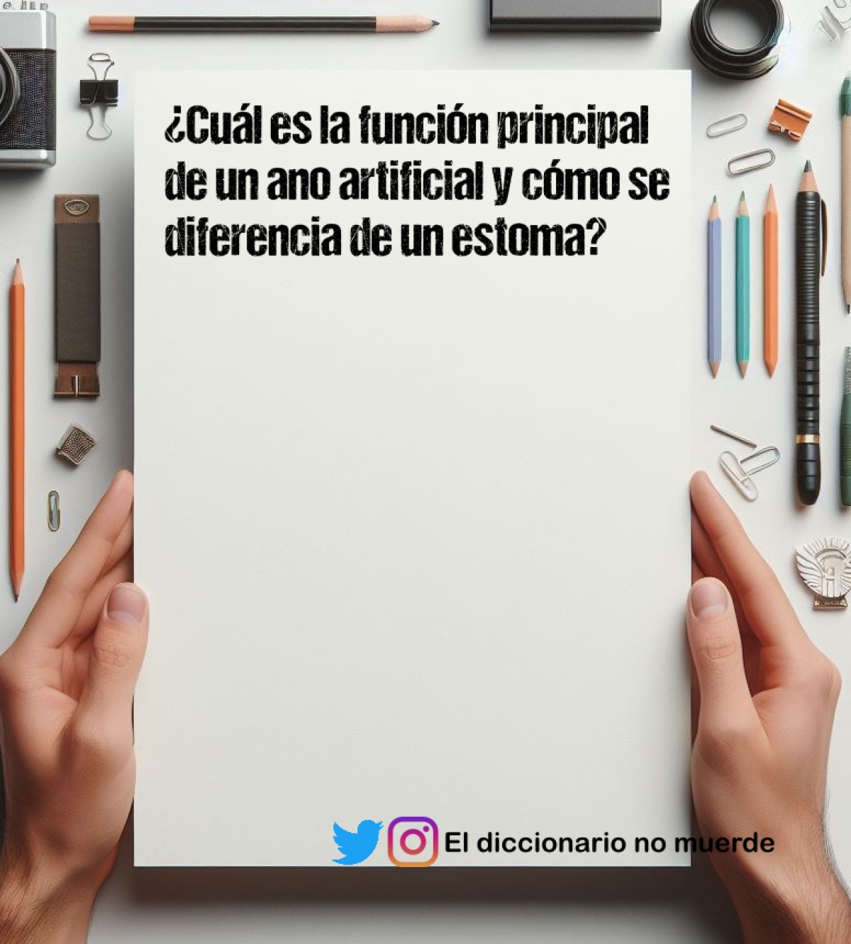 ¿Cuál es la función principal de un ano artificial y cómo se diferencia de un estoma?