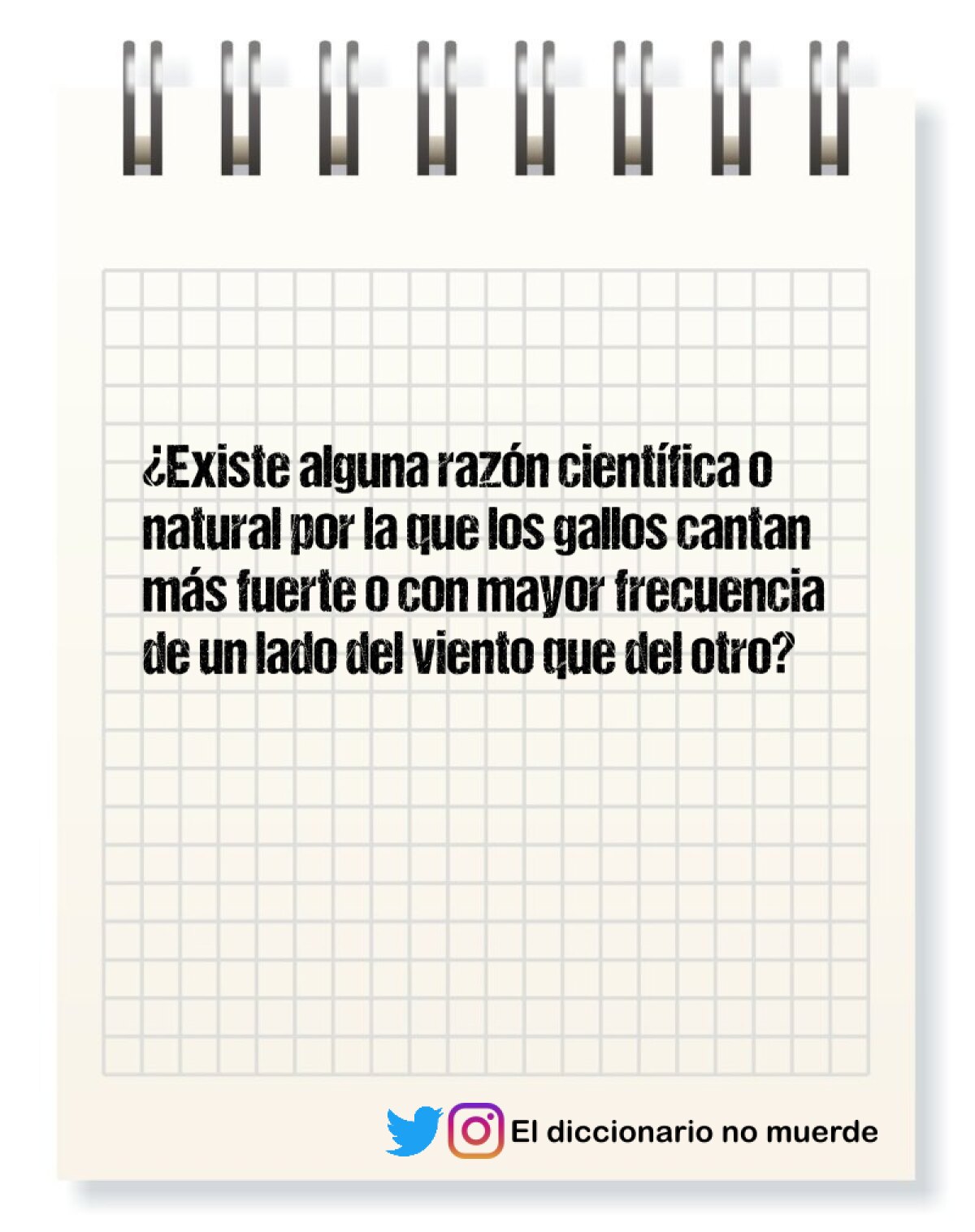 ¿Existe alguna razón científica o natural por la que los gallos cantan más fuerte o con mayor frecuencia de un lado del viento que del otro?