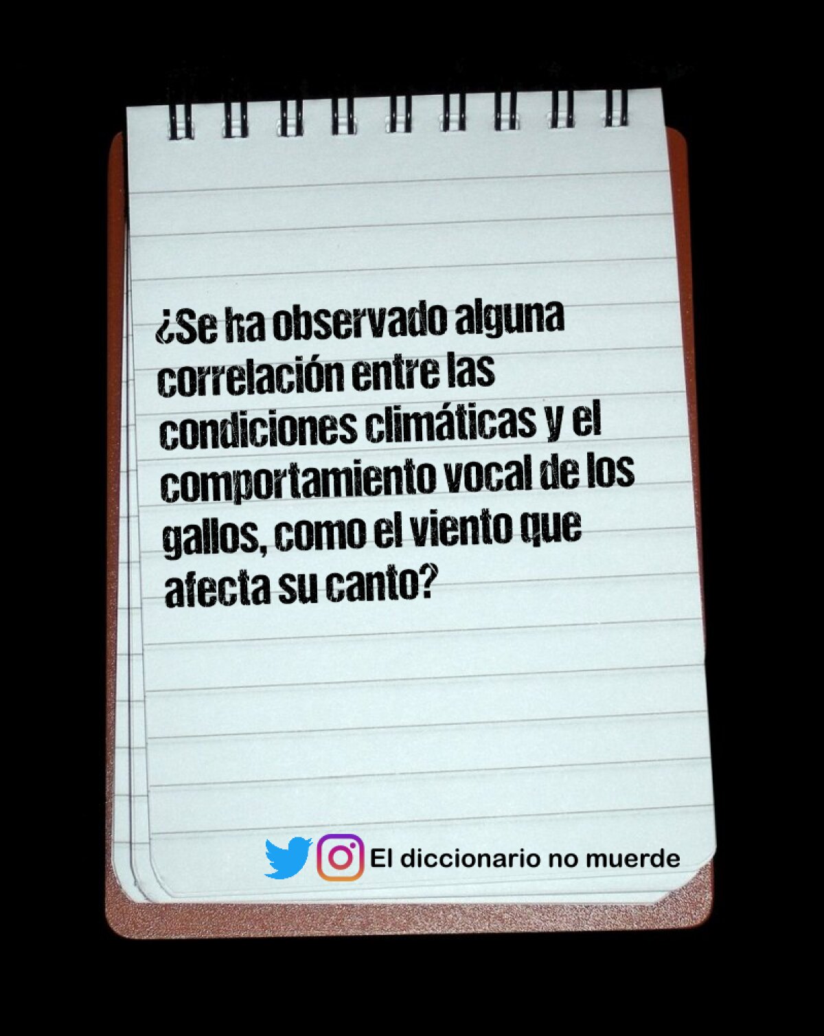 ¿Se ha observado alguna correlación entre las condiciones climáticas y el comportamiento vocal de los gallos, como el viento que afecta su canto?