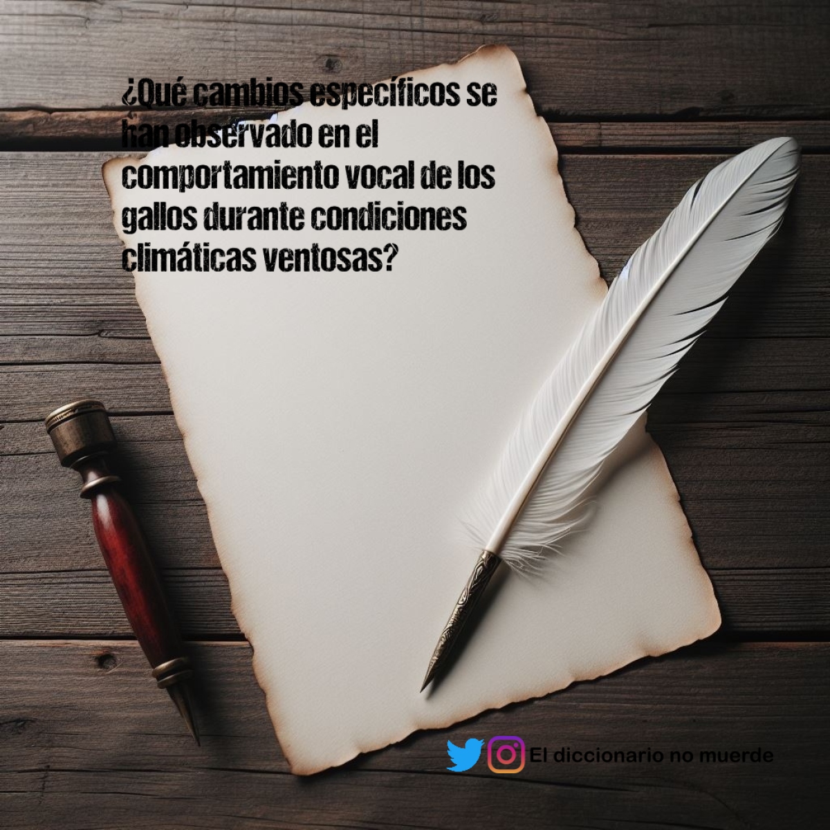 ¿Qué cambios específicos se han observado en el comportamiento vocal de los gallos durante condiciones climáticas ventosas?