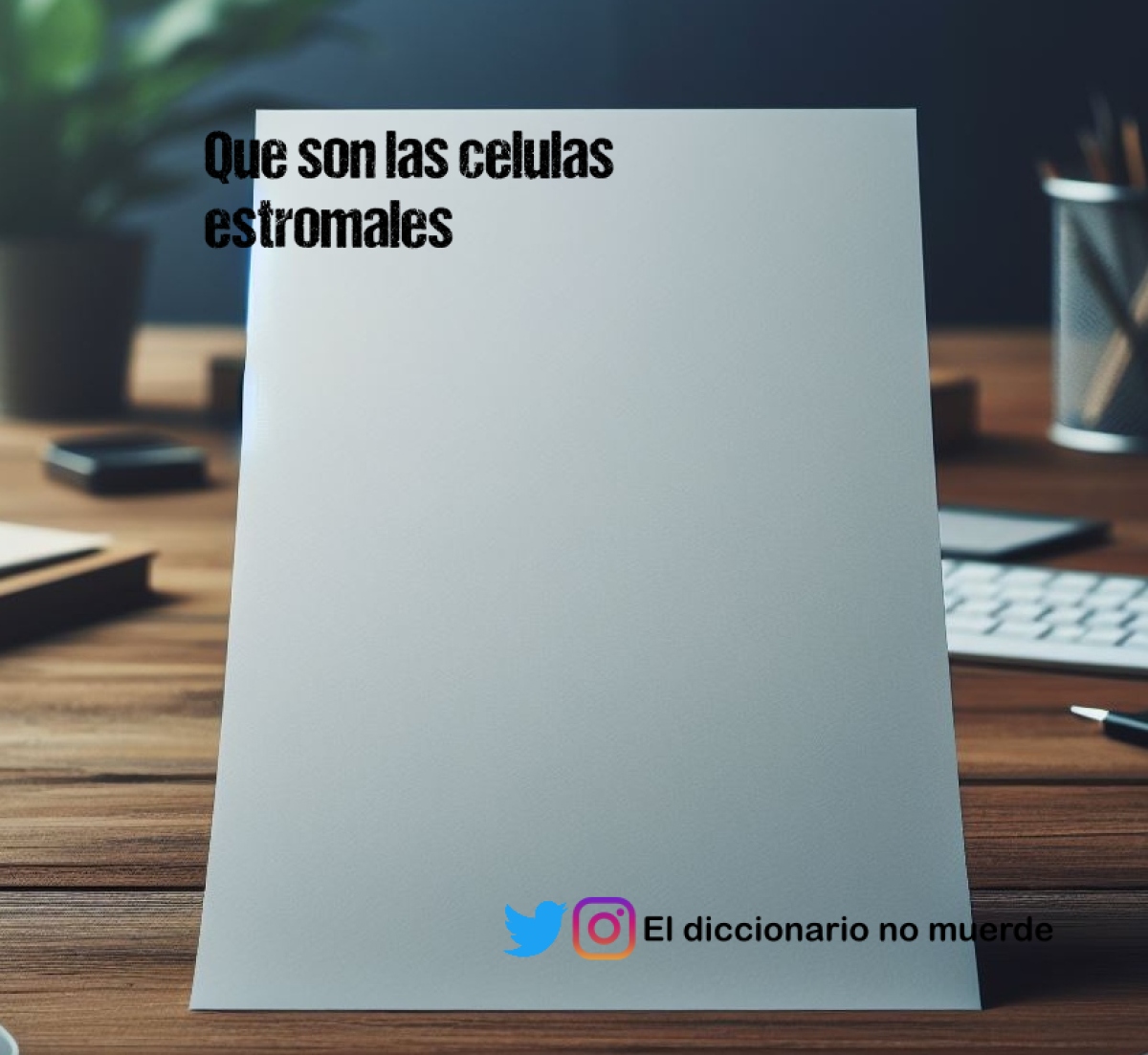 Que son las celulas estromales