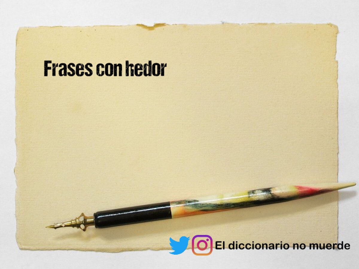 Frases con hedor