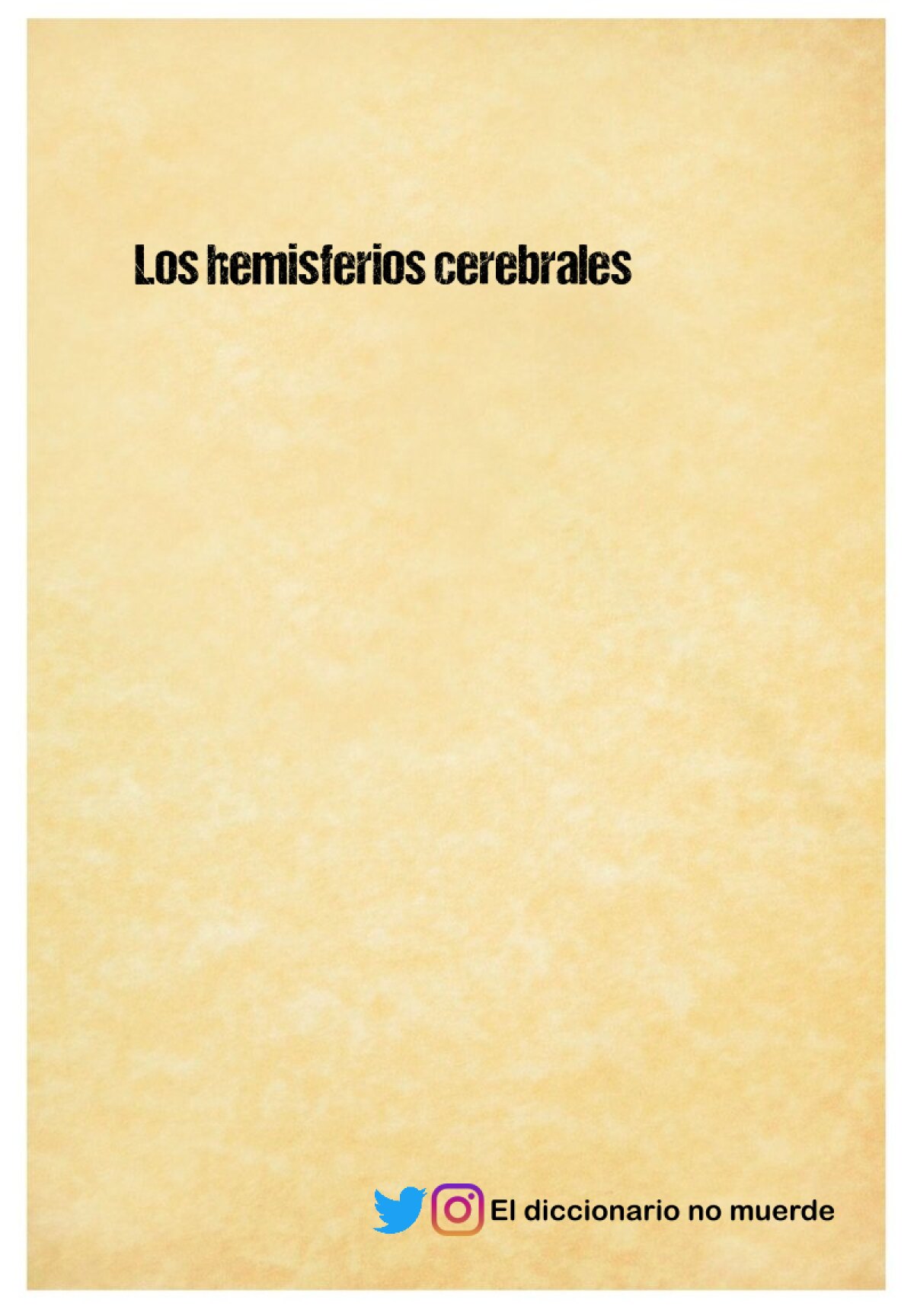 Los hemisferios cerebrales