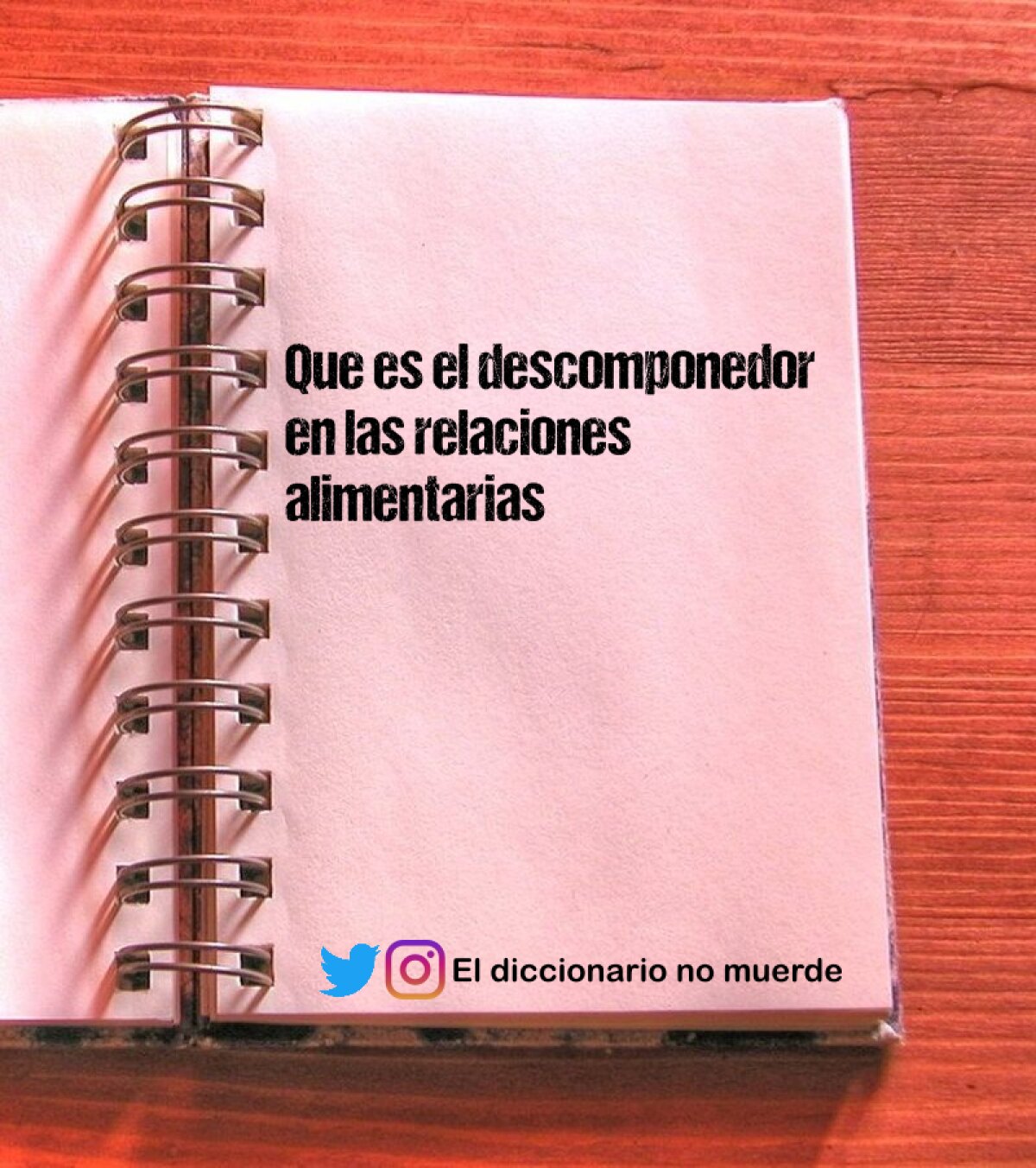 Que es el descomponedor en las relaciones alimentarias