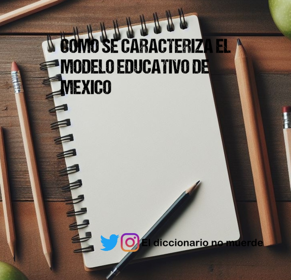 COMO SE CARACTERIZA EL MODELO EDUCATIVO DE MEXICO