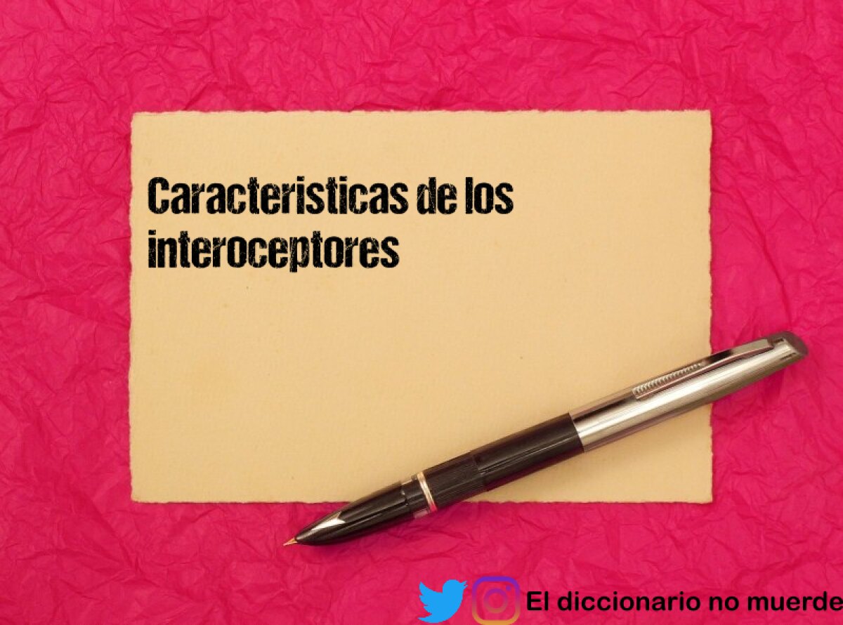 Caracteristicas de los interoceptores