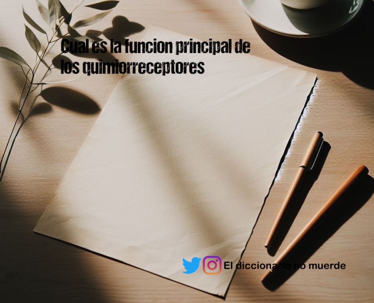 Cual es la funcion principal de los quimiorreceptores