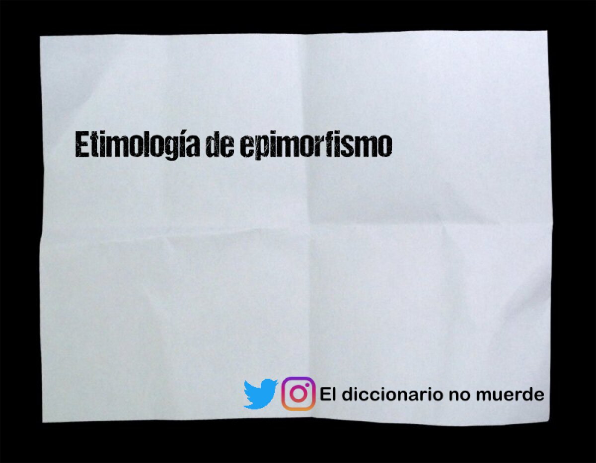 Etimología de epimorfismo
