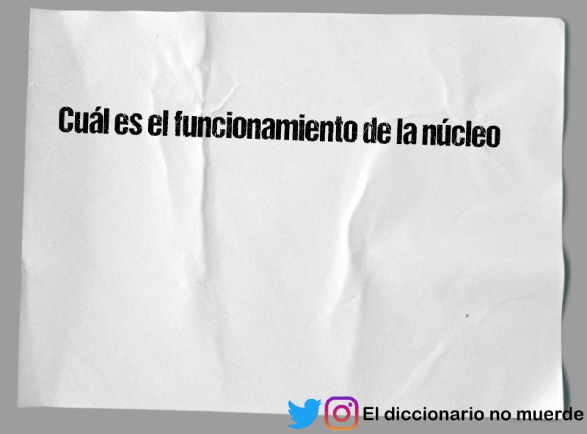 Cuál es el funcionamiento de la núcleo