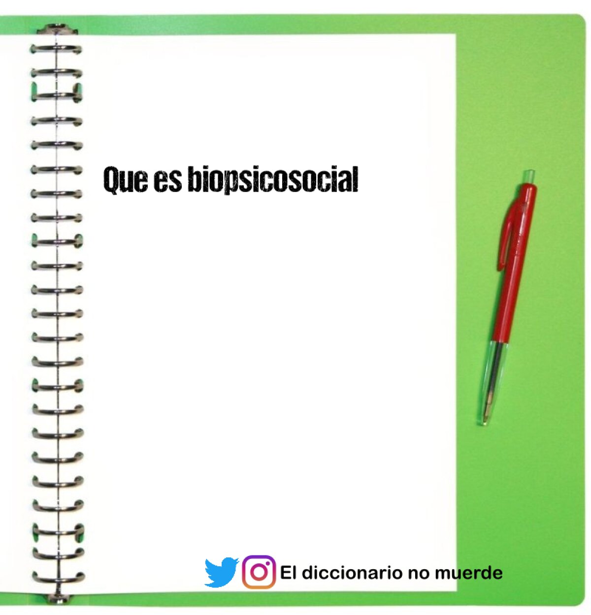 Que es biopsicosocial