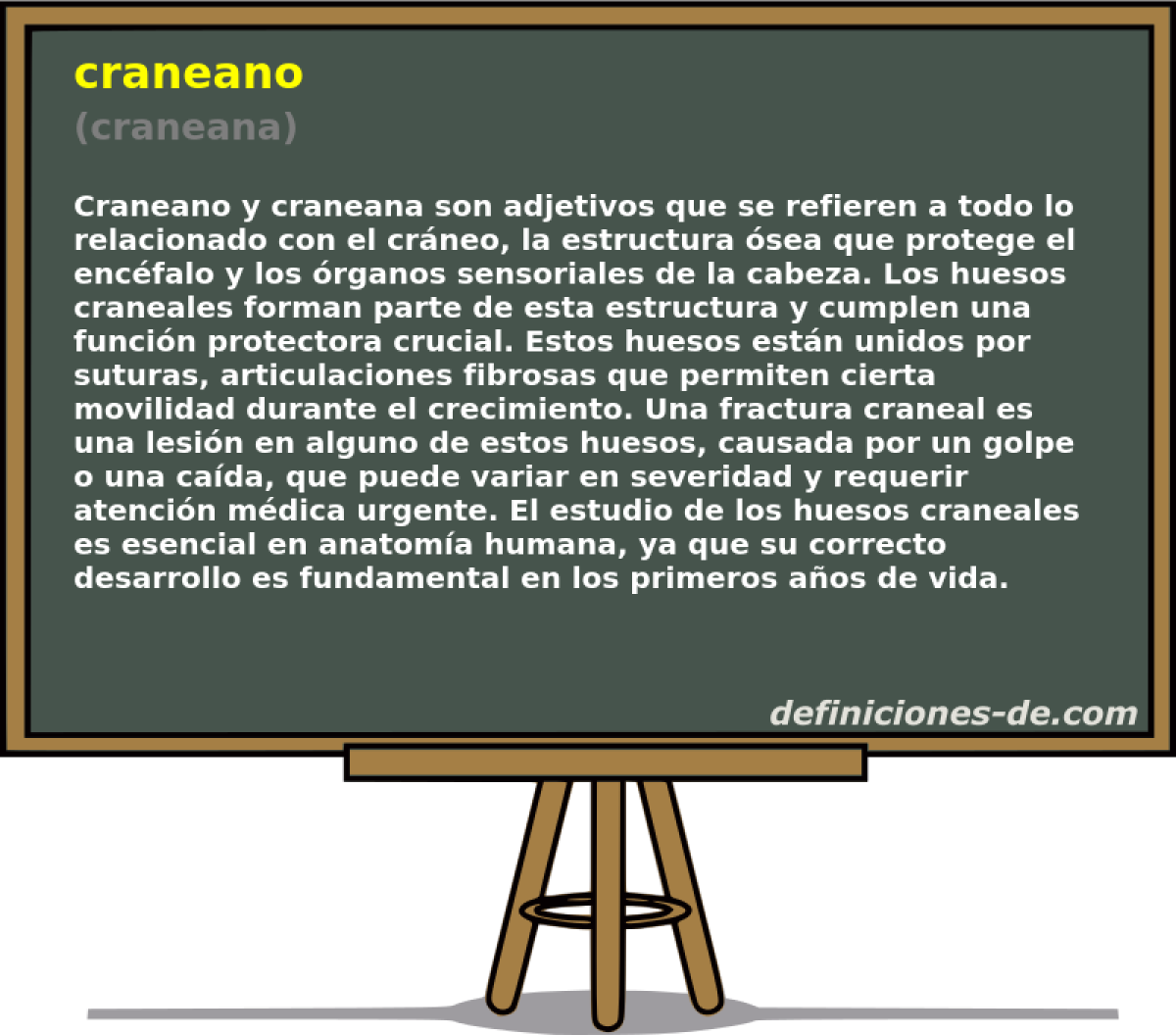 craneano (craneana)