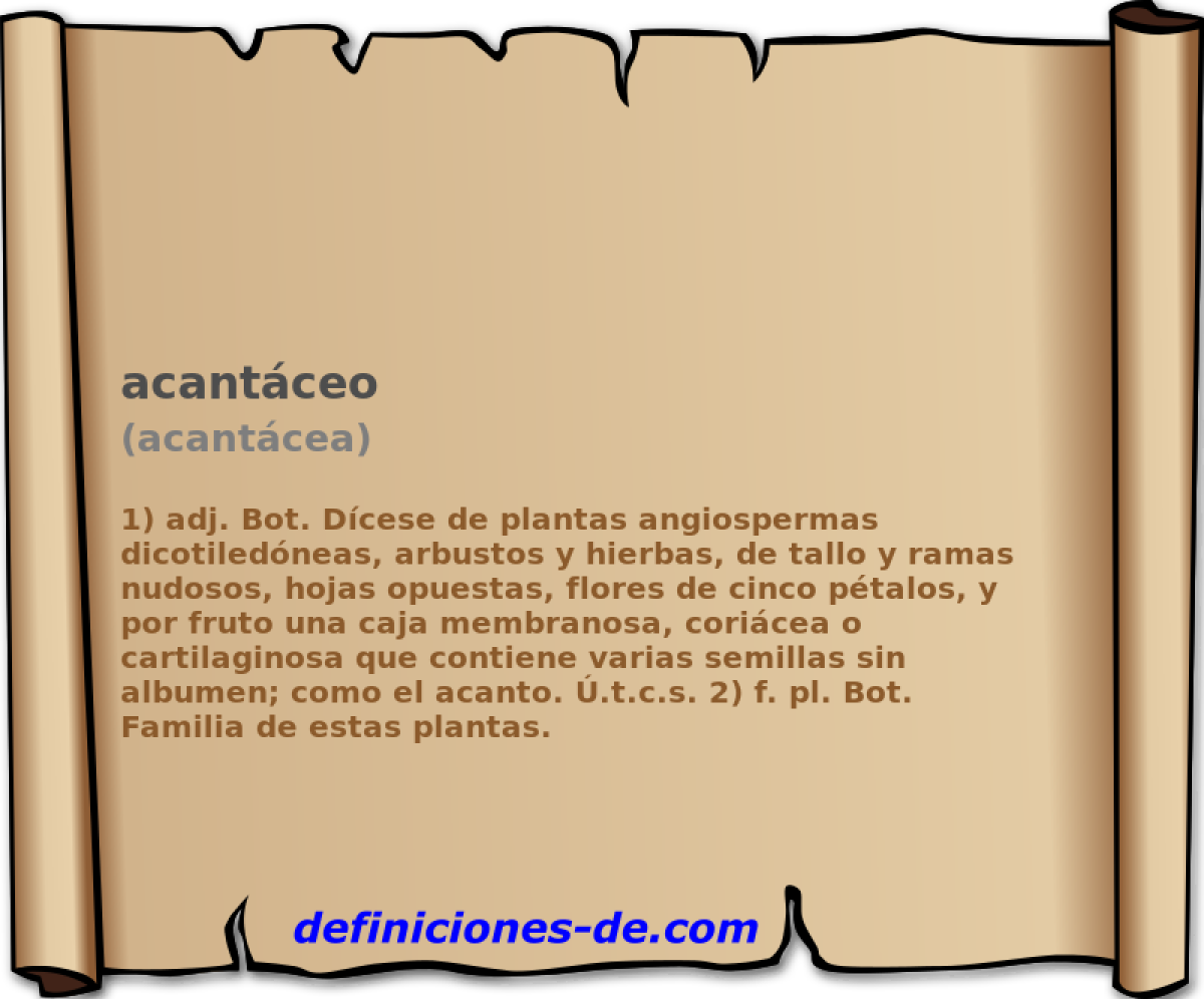 acantceo (acantcea)