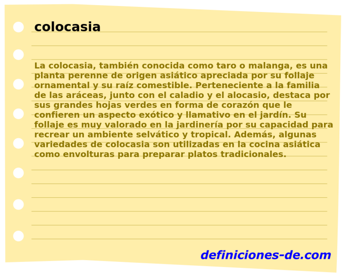 colocasia 