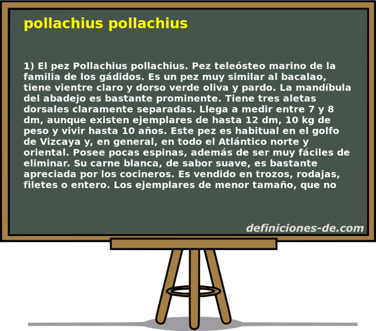 pollachius pollachius 
