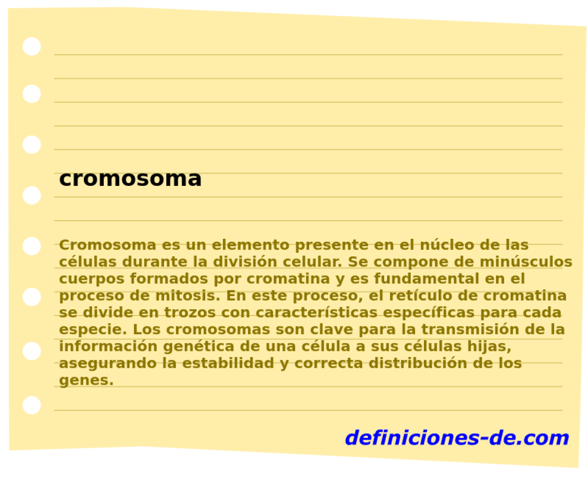 cromosoma 