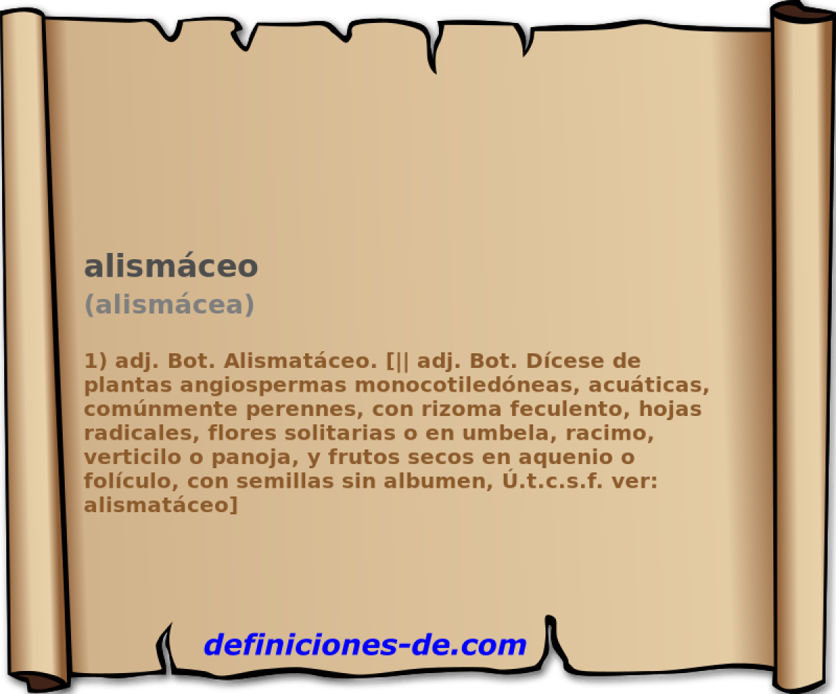 alismceo (alismcea)