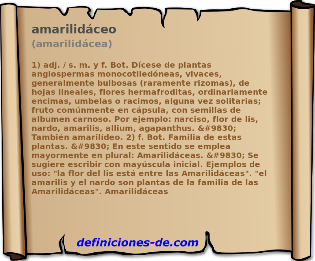 amarilidceo (amarilidcea)