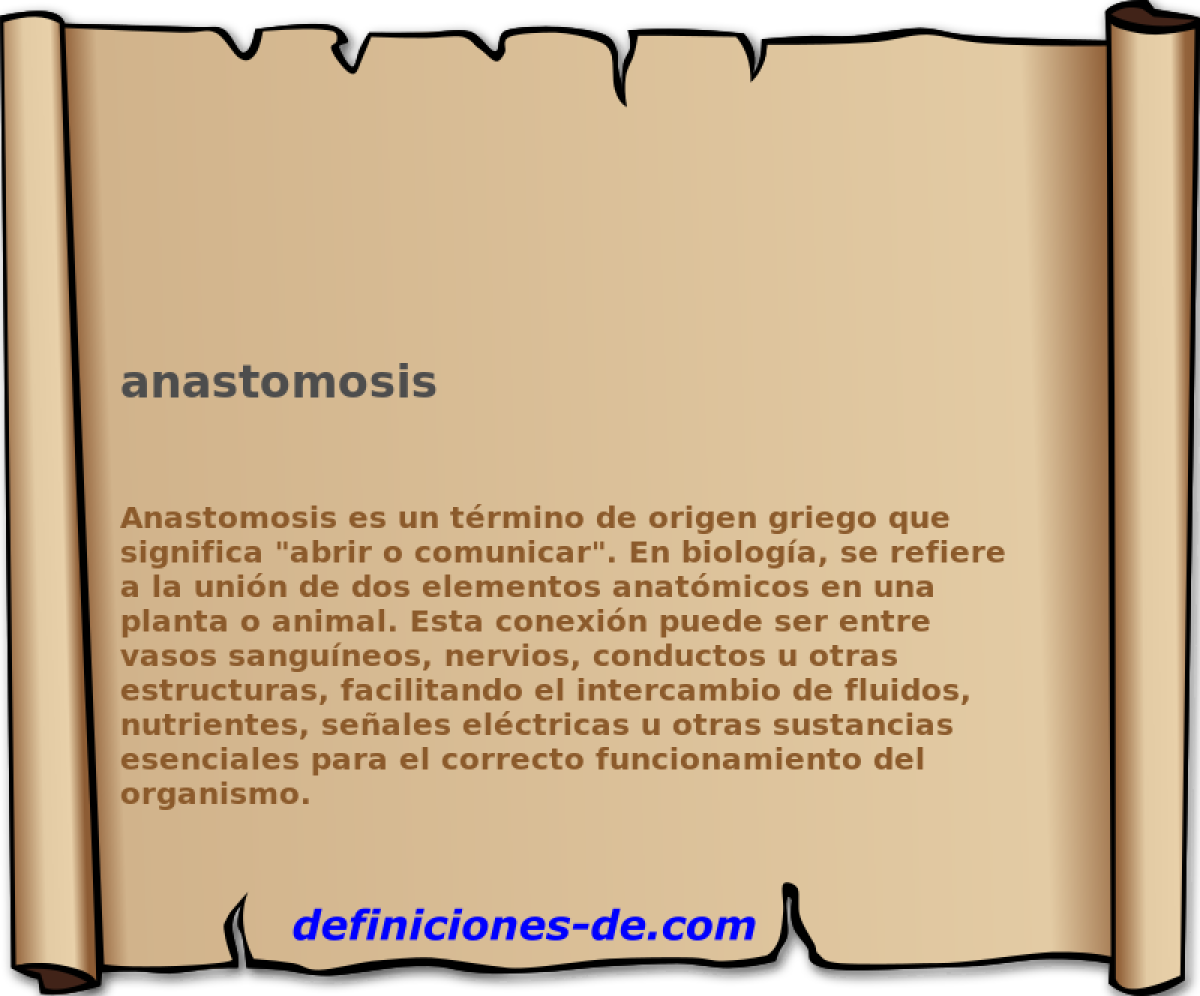 anastomosis 