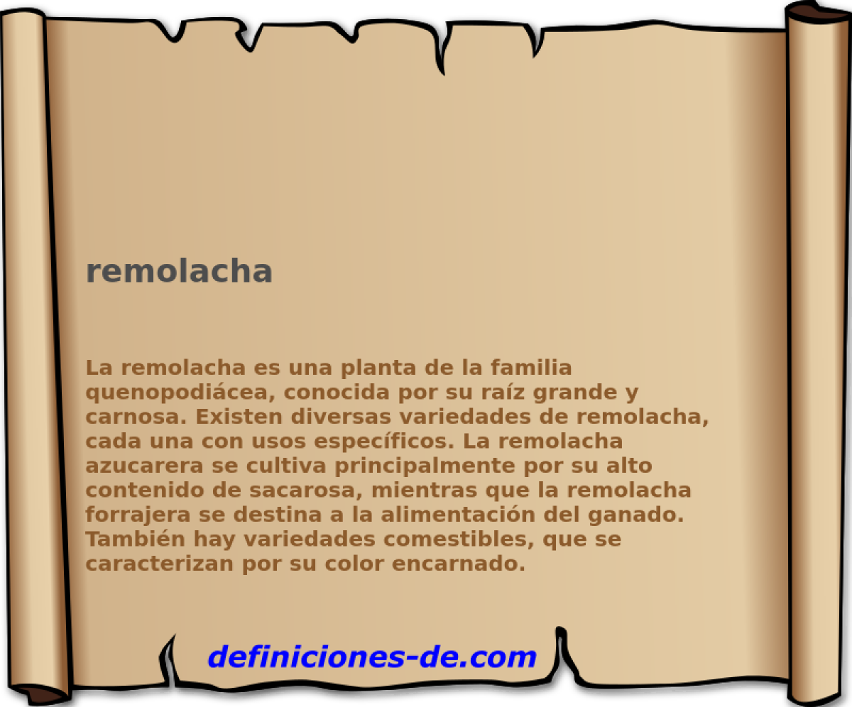 remolacha 