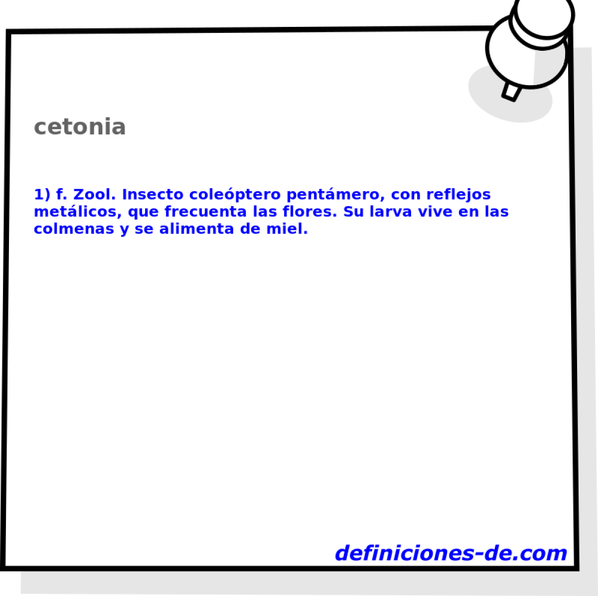 cetonia 