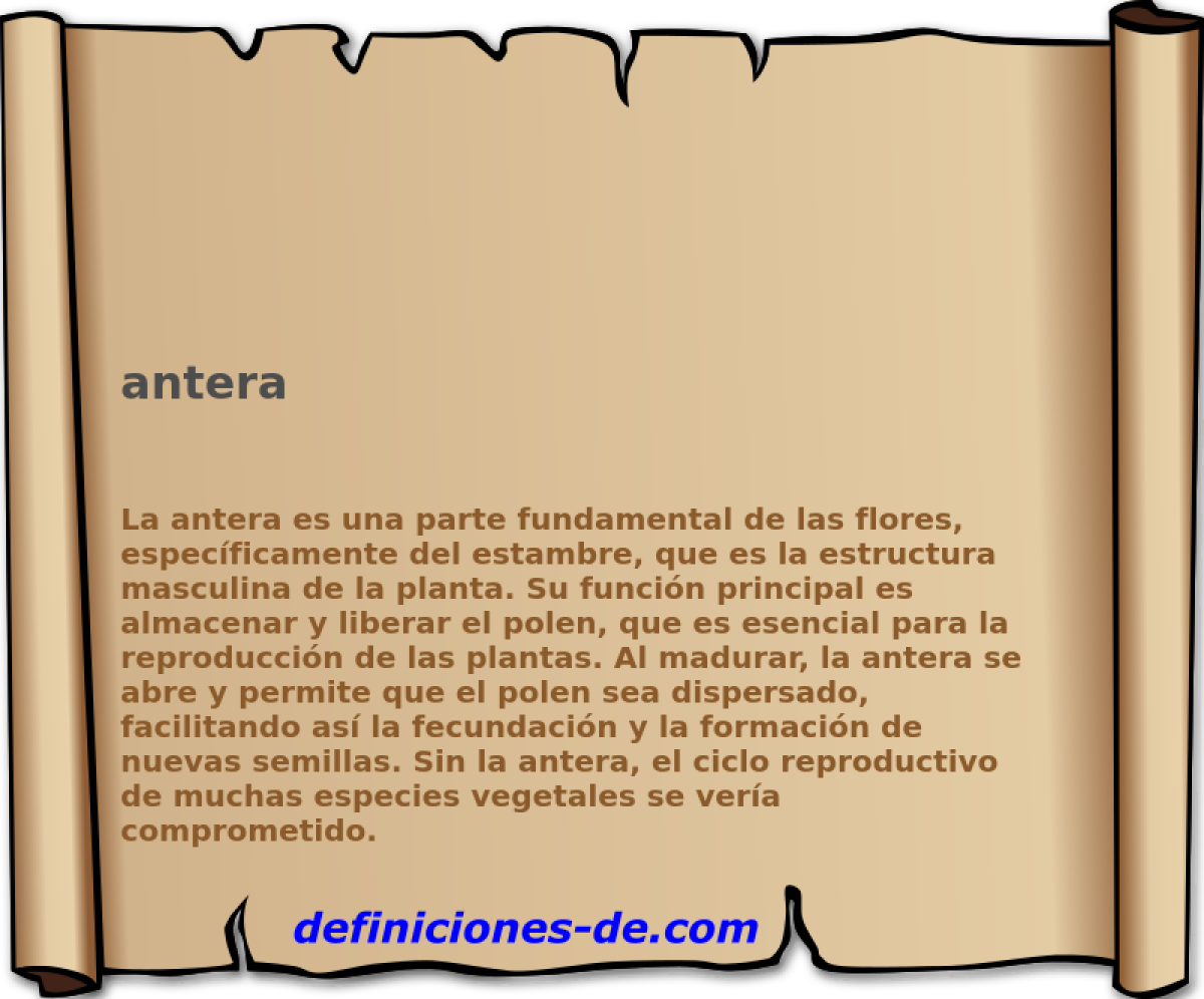 antera 