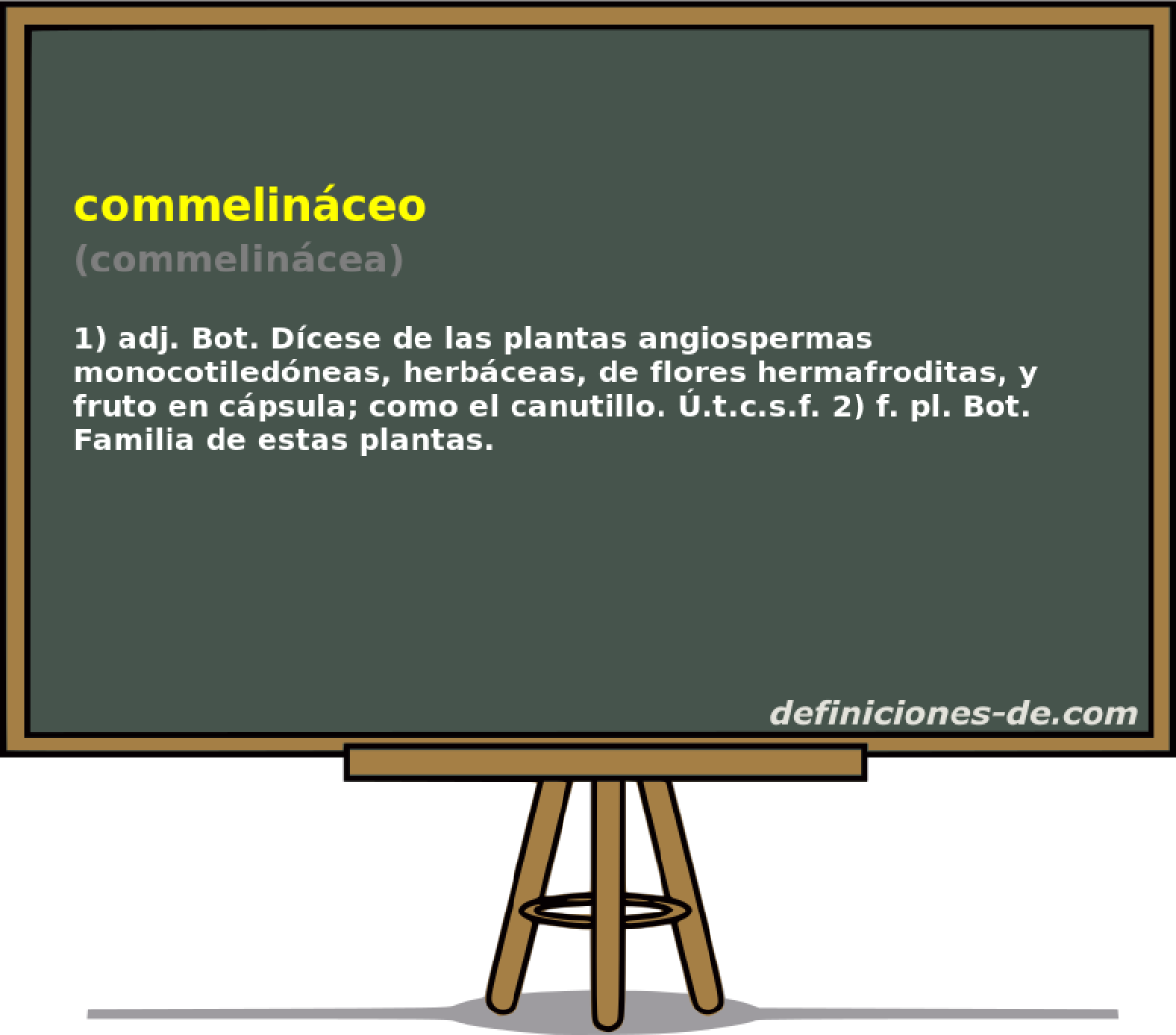 commelinceo (commelincea)