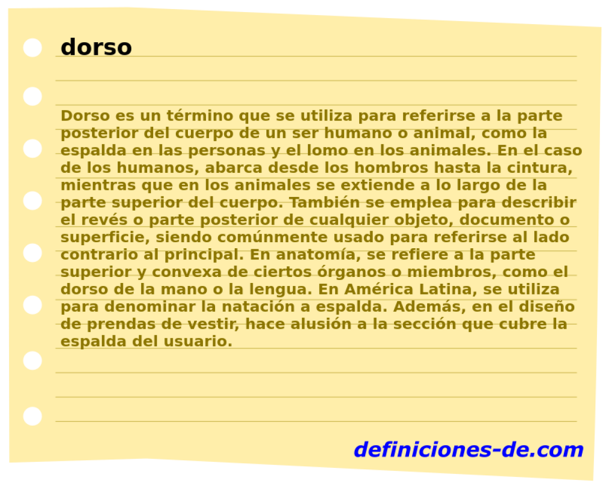 dorso 