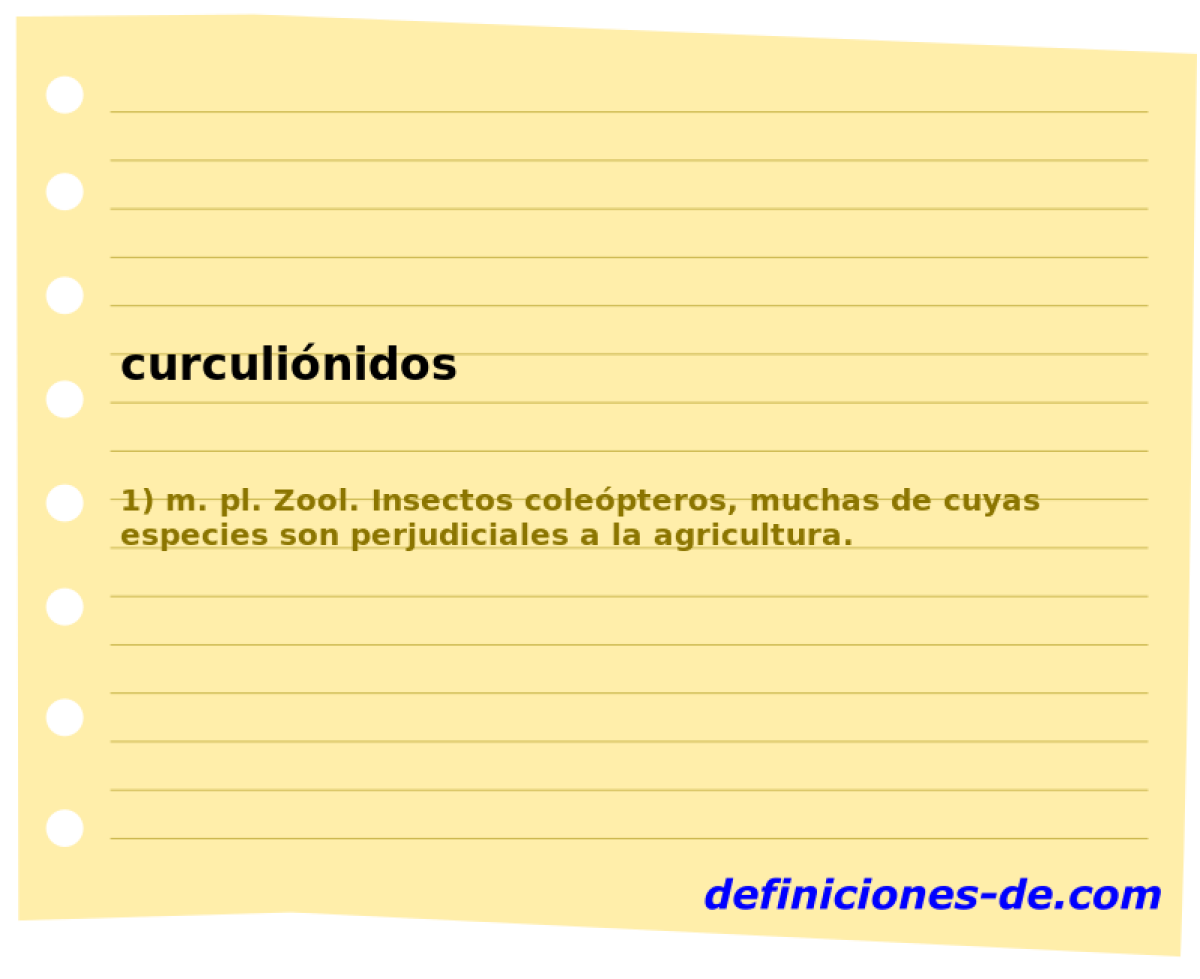 curculinidos 