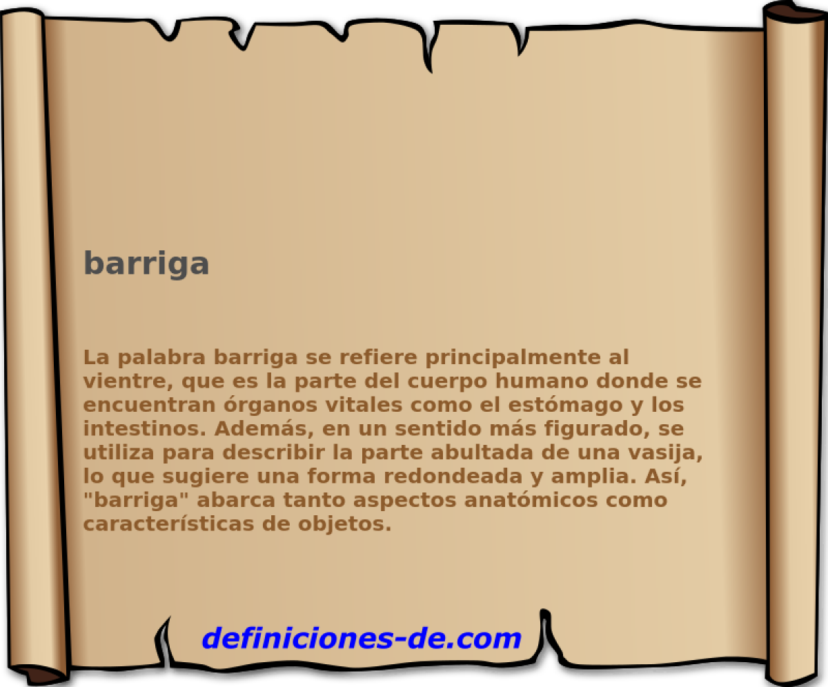 barriga 