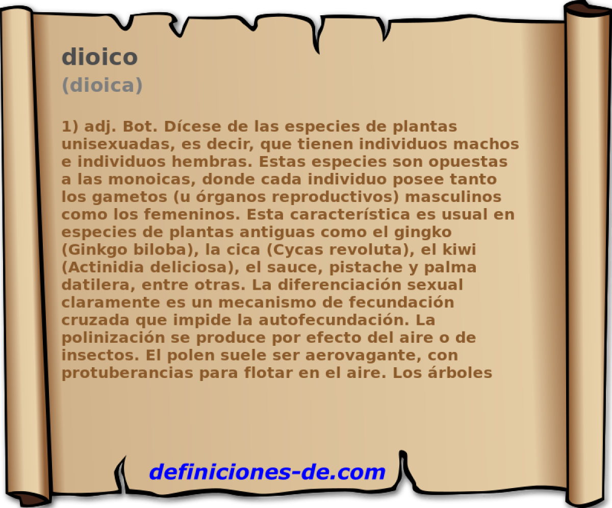 dioico (dioica)