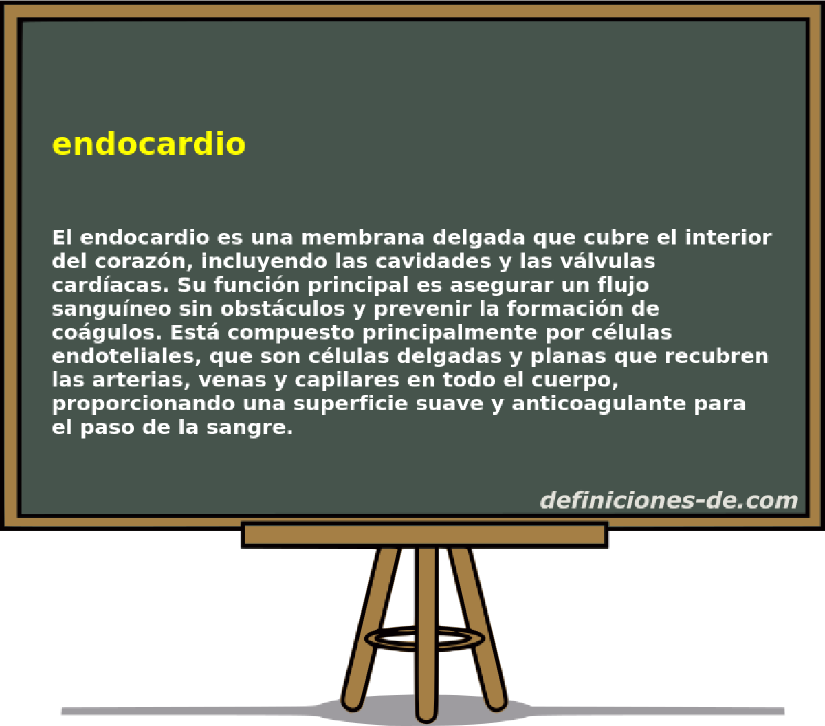 endocardio 