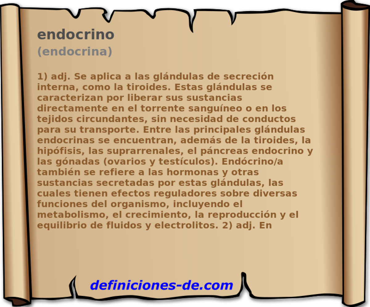 endocrino (endocrina)