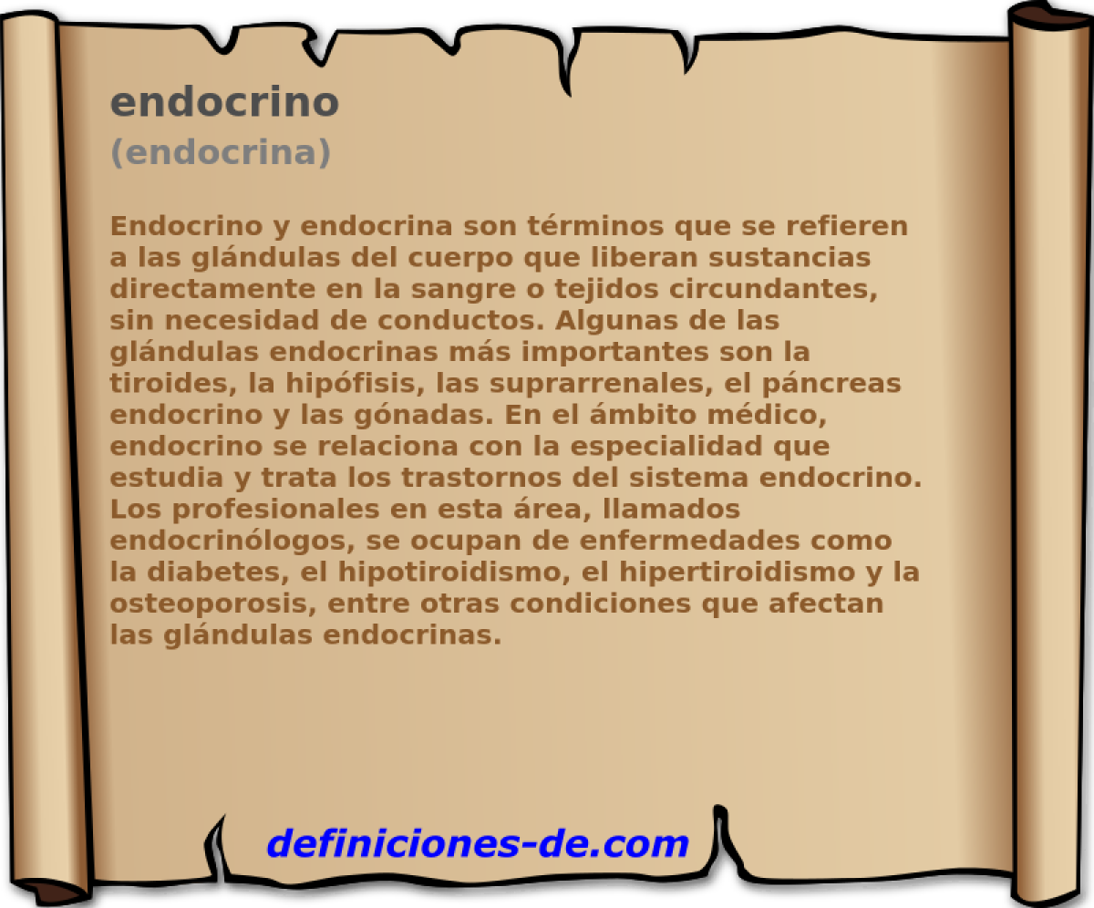 endocrino (endocrina)