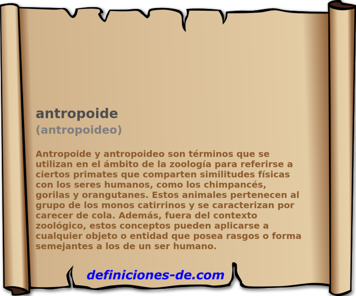 antropoide (antropoideo)