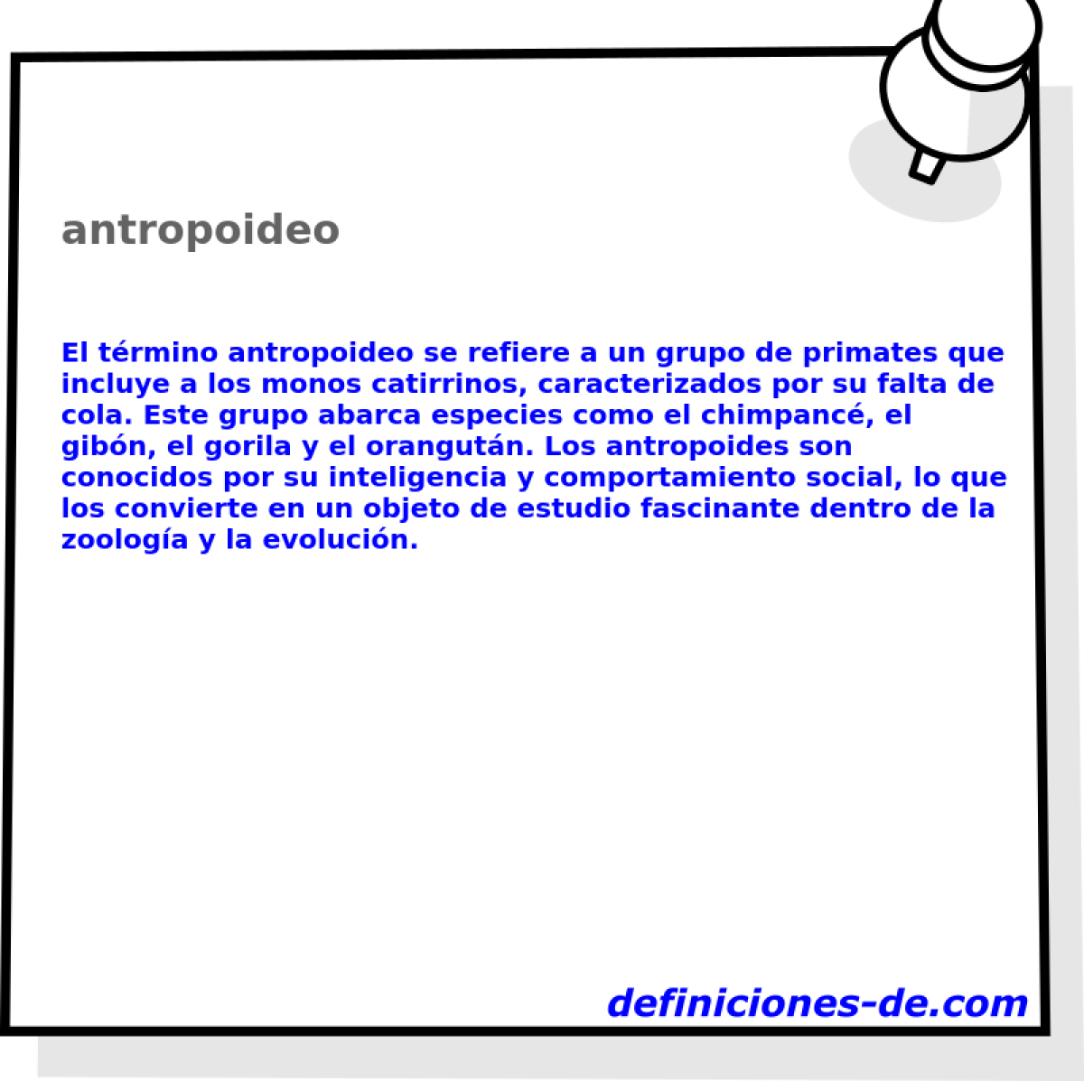 antropoideo 